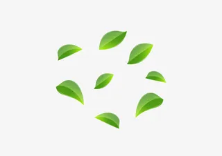 清新树叶环保绿叶春天田园雨水免抠漂浮叶子元素