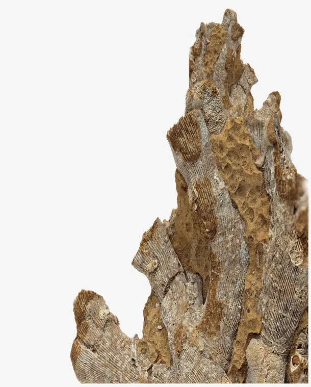 假山石块免抠