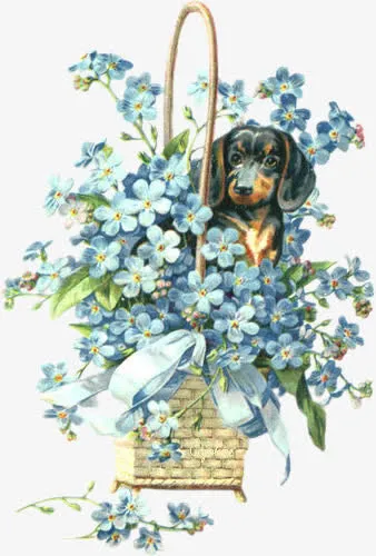 手绘花图片花素材 花篮 小狗免抠
