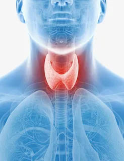 甲状腺肿大免抠