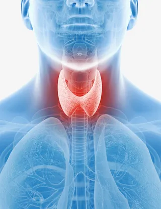 甲状腺肿大免抠