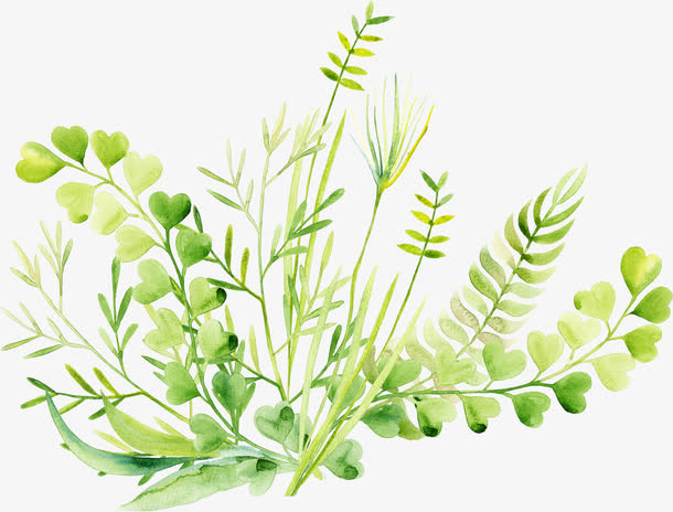 树叶树枝藤蔓免抠