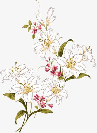 创意手绘水彩春天的百合免抠