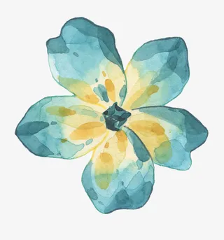 手绘蓝色花朵免抠