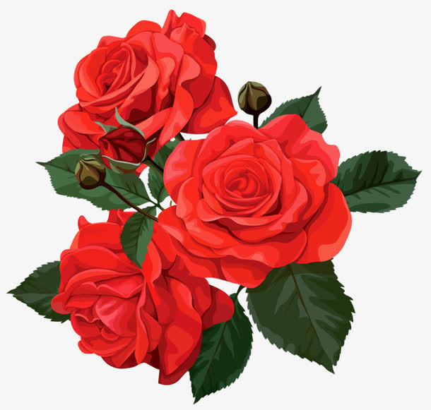 红色带刺玫瑰免抠