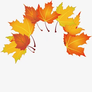 秋季落叶免抠