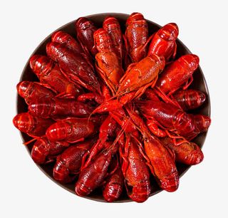 大盘小龙虾免抠