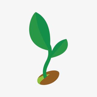 手绘简约植物发芽种子免抠