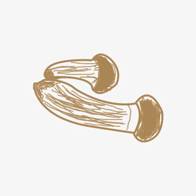 手绘的杏鲍菇免抠