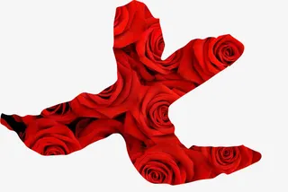 玫瑰花七字七夕情人节免抠