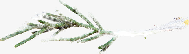 扁平冰雪覆盖树枝免抠
