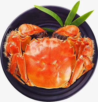 一盘美味的大闸蟹特写免抠