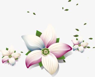 手绘白色花朵免抠