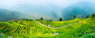 蓝色山峰绿色草地免抠