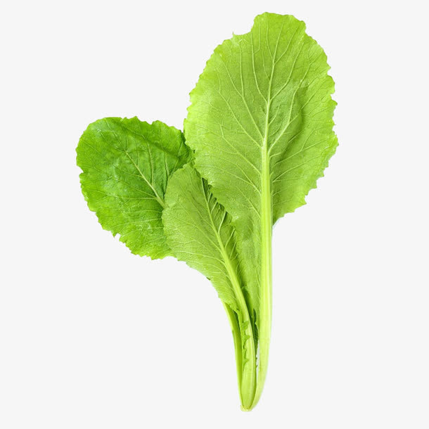 蔬菜免抠