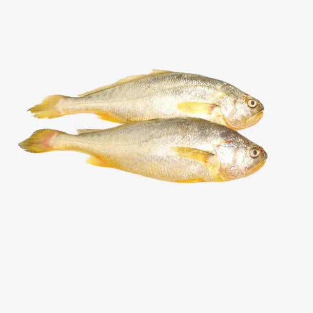 生鲜黄花鱼免抠