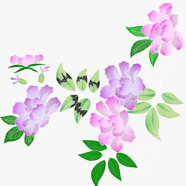 紫色花和绿叶免抠