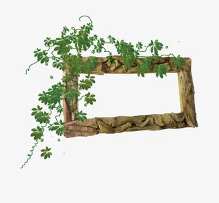 石头边框植物装饰免抠