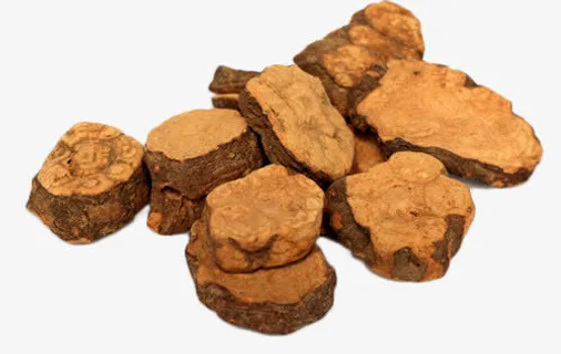 黄色切片何首乌中药免抠