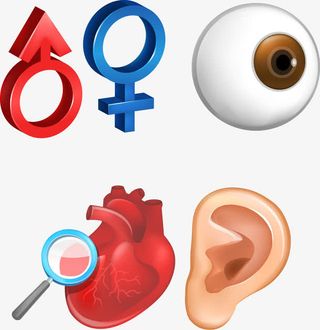 耳鼻喉科眼科免抠