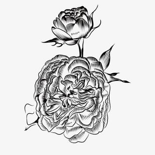 手绘黑白花卉装饰免抠