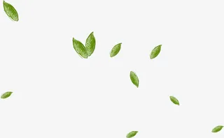 创意合成手绘绿色的树叶效果设计免抠