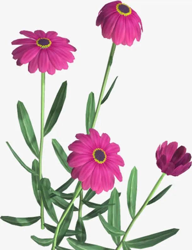 粉色绽放花朵绿叶免抠