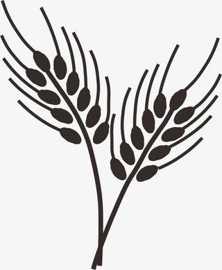 麦子简笔画免抠