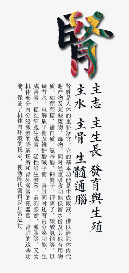 中医养生器官肾功能免抠