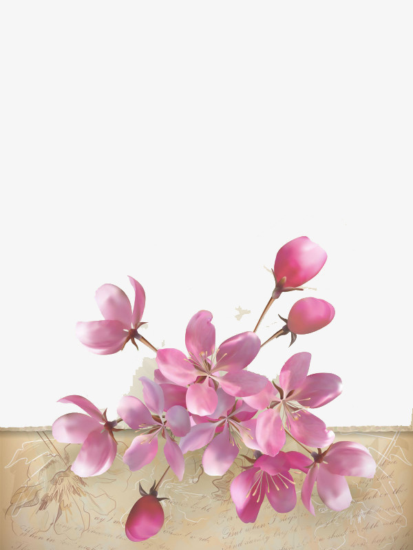 春天里的桃花免抠