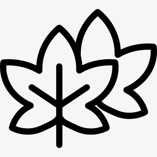 枫叶图标免抠