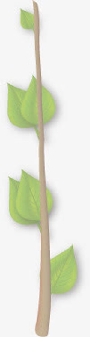 创意手绘合成绿色的树枝免抠