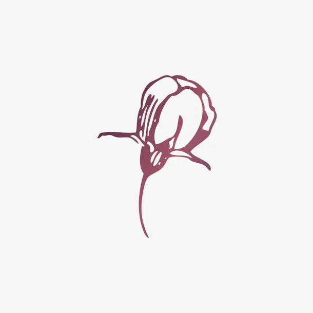 复古花纹免抠