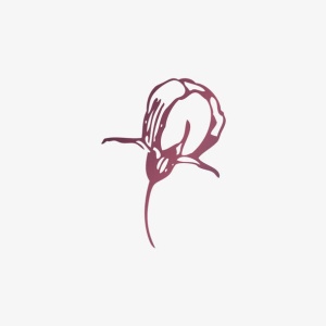 复古花纹免抠
