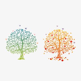 蝴蝶树木矢量免抠