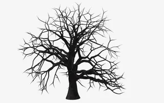 插画枯树枝免抠