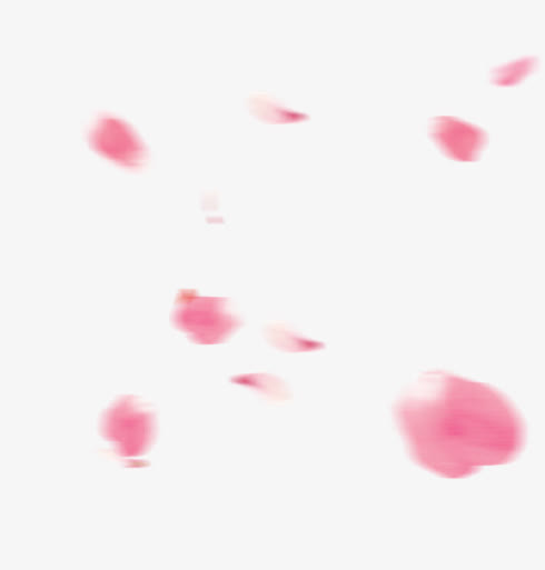 唯美漂浮花瓣免抠