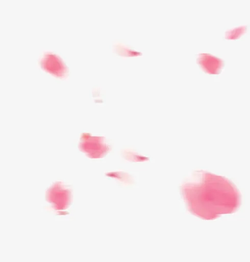 唯美漂浮花瓣免抠