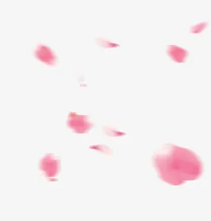 唯美漂浮花瓣免抠