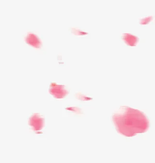 唯美漂浮花瓣免抠