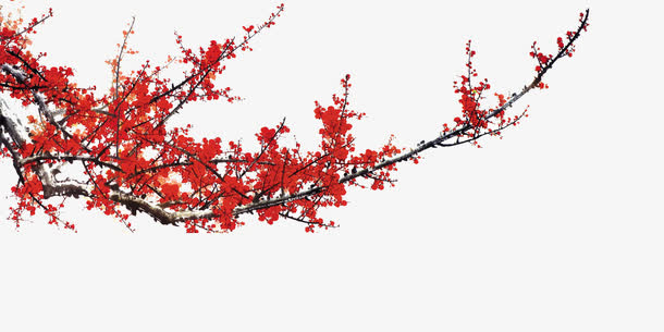 装饰图案免抠
