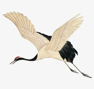 白色手绘飞翔仙鹤造型免抠