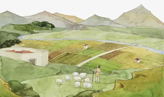 水墨插图农地插画免抠