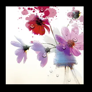 家居小雏菊简约背景素材高清