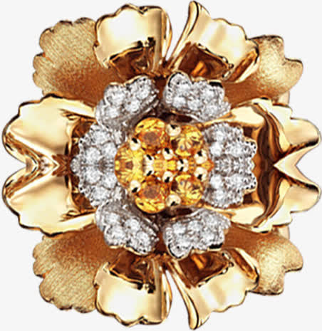 玫瑰金花瓣实物素材免抠