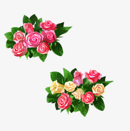 鲜花绿叶免抠