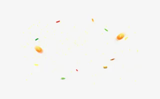 金币树叶花瓣漂浮免抠