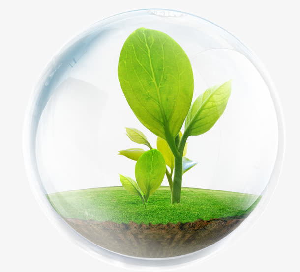 植物免抠