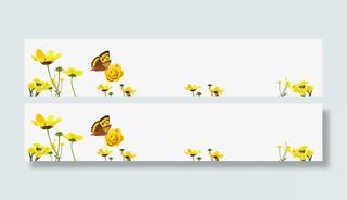 春天百花盛开蝴蝶免抠