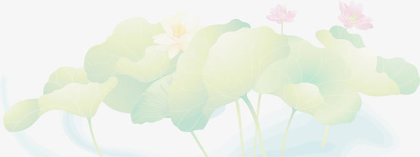 荷花荷叶免抠
